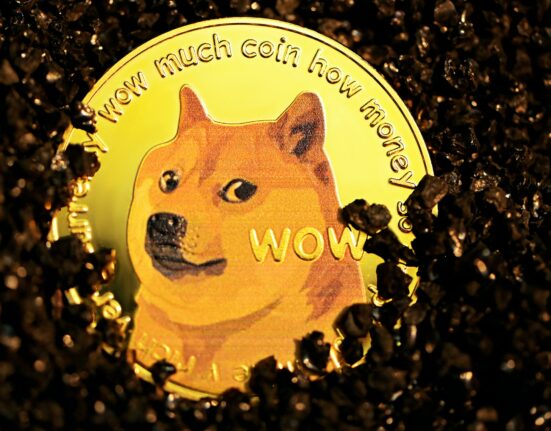 Developer Admits Mistake With Shibarium Beta Chain ID in Shiba Inu