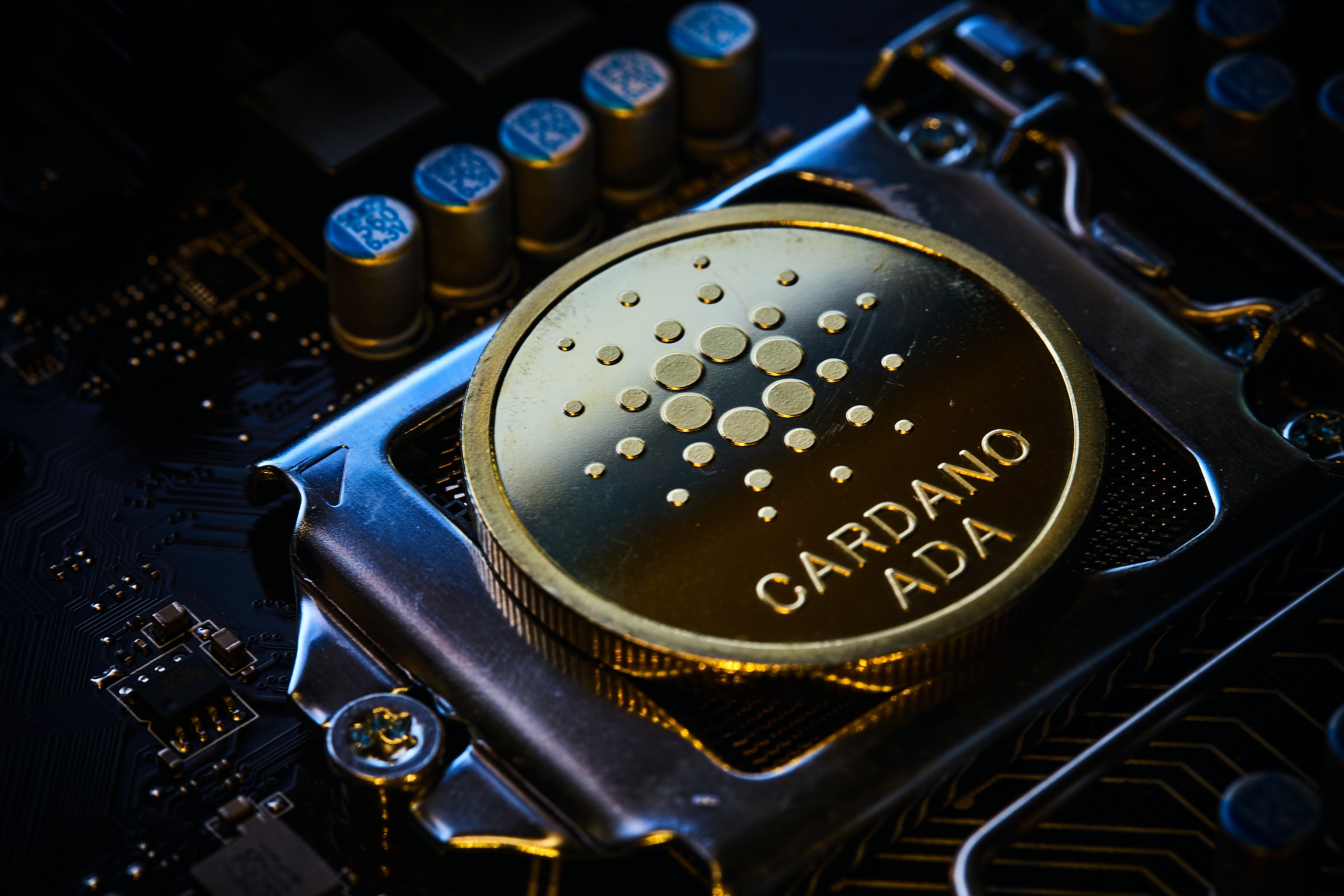 Rise in Cardano Altcoin Prospects: Seeking Community Input