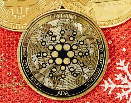 Implications for Investors as Cardano Approaches Maximum Capacity